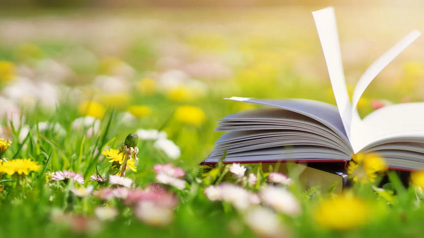 Итоги летнего книжного марафона-2026